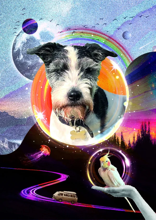 Handmade cosmic pet portrait