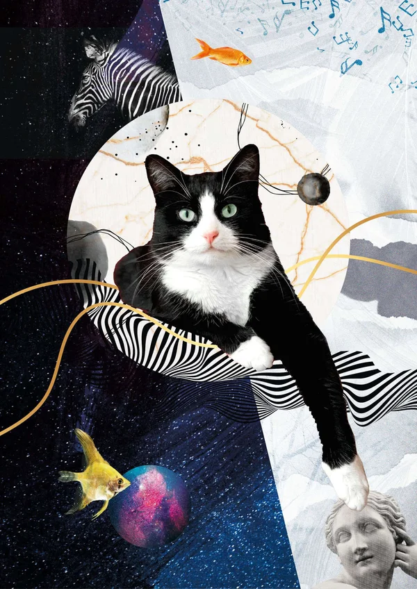 Handmade cosmic pet portrait