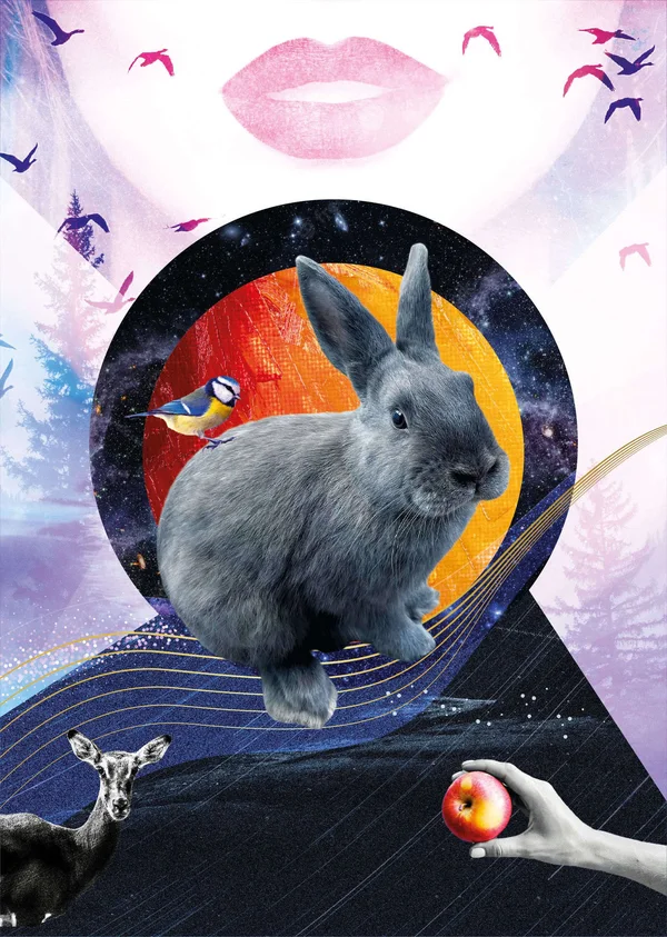 Handmade cosmic pet portrait