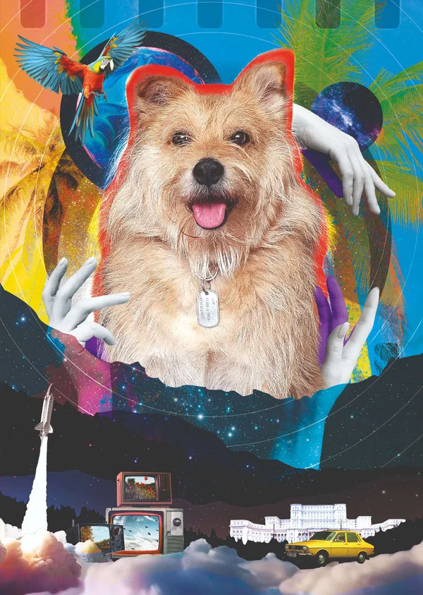 Handmade cosmic pet portrait