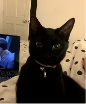 Bad example — too dark