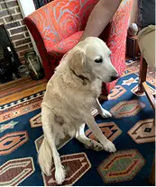 Bad example — too far away