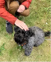 Bad example — shot from above