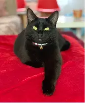 Good example — facing camera