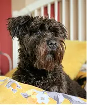 Good example — close-up portrait