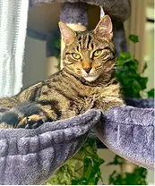 Good example — eye level, sharp